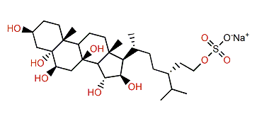 (24R)-5a-Stigmastane-3b,5,6b,8b,15a,16b,29-heptol 29-sulfate